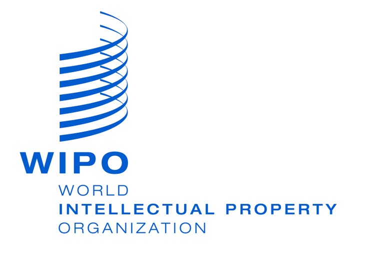 Vietnam nimmt an der Sitzung der WIPO-Versammlung teil - ảnh 1